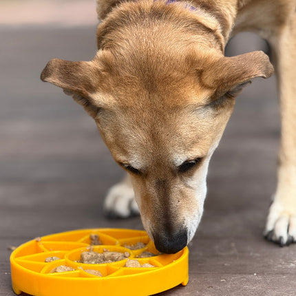 Sunflower Design eTray Enrichment Shallow Slow Feeder Dog Bowl