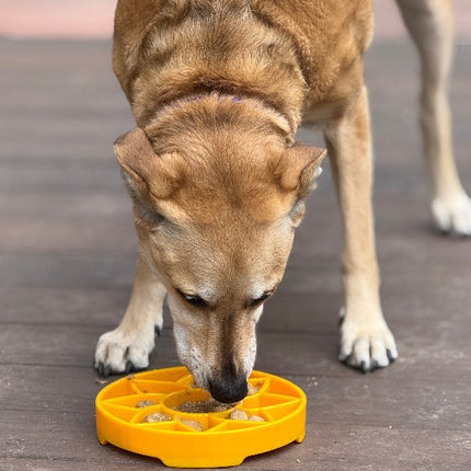 Sunflower Design eTray Enrichment Shallow Slow Feeder Dog Bowl