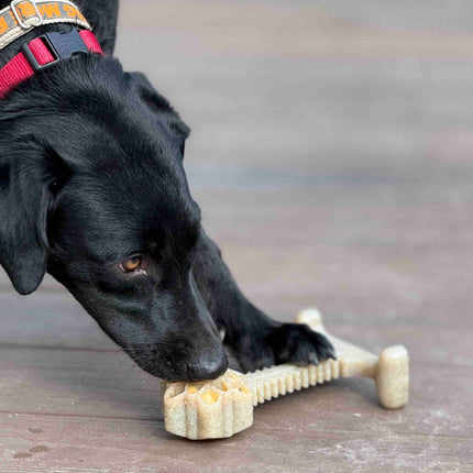 Honey Bone Dental Flower Tower eChew Ultra Durable Nylon Dog Chew Toy - XL