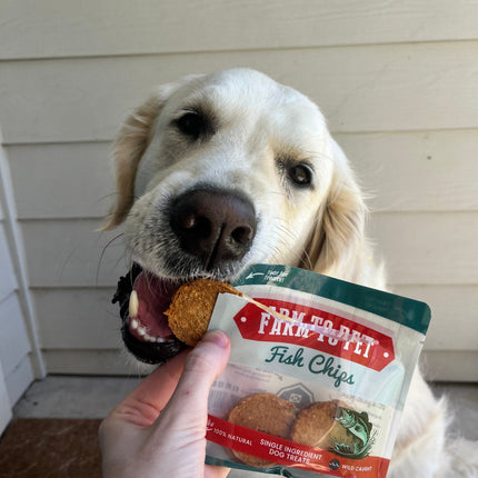 Chicken, Turkey, & Beef Snack Pack Trio