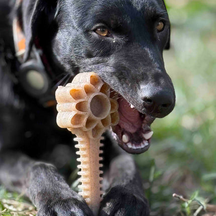 Honey Bone Dental Flower Tower eChew Ultra Durable Nylon Dog Chew Toy - XL