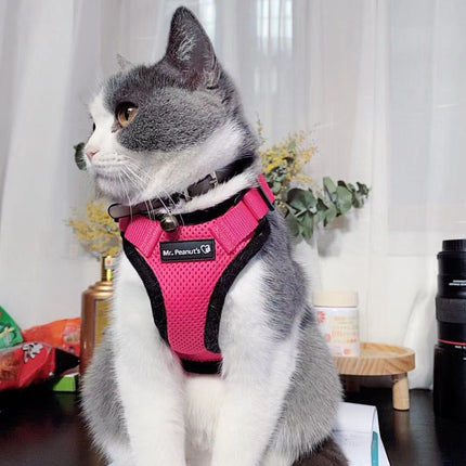 Mr. Peanut's PurrTrek Reflective Cat Harness with Matching Leash