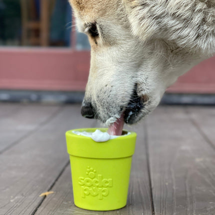 Large Flower Pot Durable PUP-X Rubber eCup Treat Dispenser & Enrichment Toy