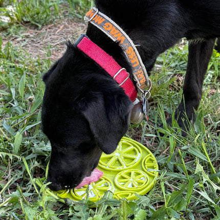 Citrus Design eMat Enrichment Lick Mat With Suction Cups