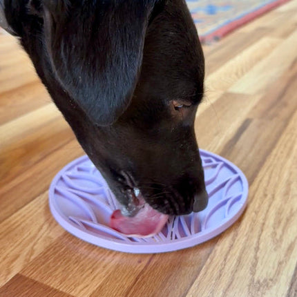 Tulip Design eMat Enrichment Lick Mat With Suction Cups