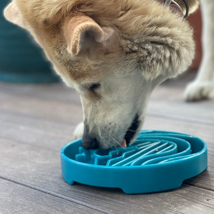 Baja Design eTray Enrichment Shallow Slow Feeder Dog Bowl