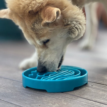Baja Design eTray Enrichment Shallow Slow Feeder Dog Bowl