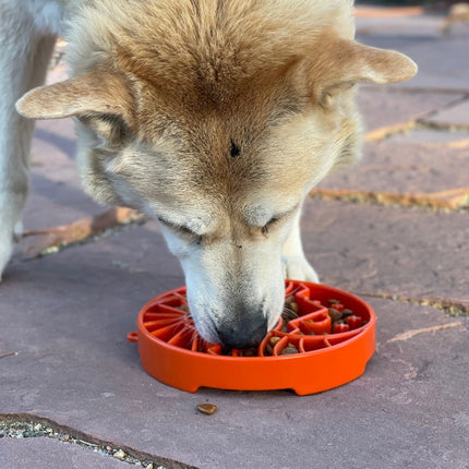 Sun and Moon Design eTray Enrichment Shallow Slow Feeder Dog Bowl