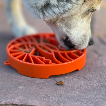 Sun and Moon Design eTray Enrichment Shallow Slow Feeder Dog Bowl