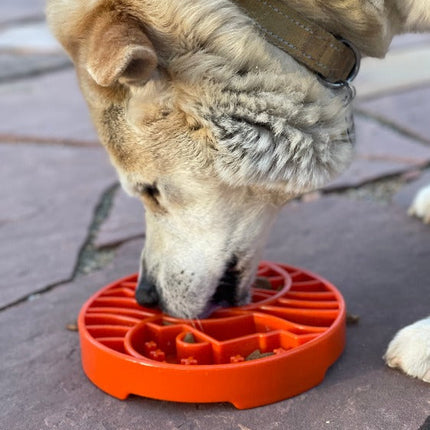 Sun and Moon Design eTray Enrichment Shallow Slow Feeder Dog Bowl