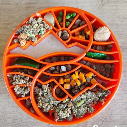 Sun and Moon Design eTray Enrichment Shallow Slow Feeder Dog Bowl