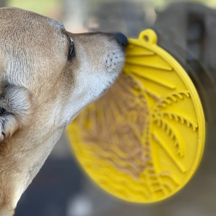 Sun n' Sea eMat Enrichment Lick Mat With Suction Cups