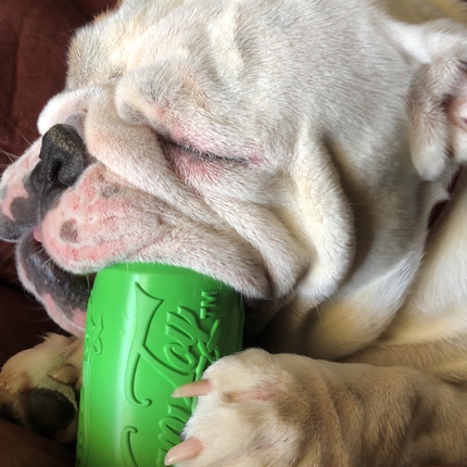 Can Toy eDispenser Durable Rubber Chew Toy & Treat Dispenser - Average Chewer