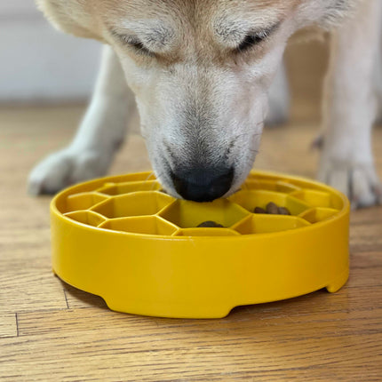 Honeycomb Design eBowl Enrichment Slow Feeder Bowl for Dogs