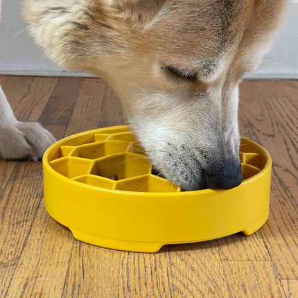 Honeycomb Design eBowl Enrichment Slow Feeder Bowl for Dogs