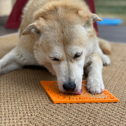 Zombie Design Emat Enrichment Lick Mat
