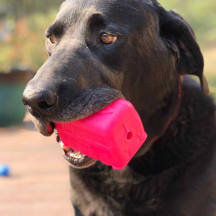Surf's Up! Retro Van  Durable Chew Toy & Treat Dispenser