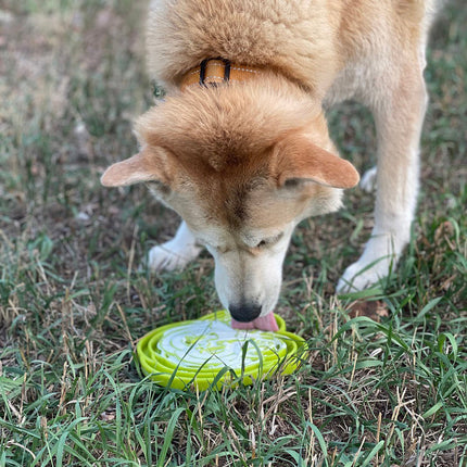 Water Frog Design eTray Enrichment Shallow Slow Feeder Dog Bowl