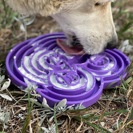 Water Frog Design eTray Enrichment Shallow Slow Feeder Dog Bowl