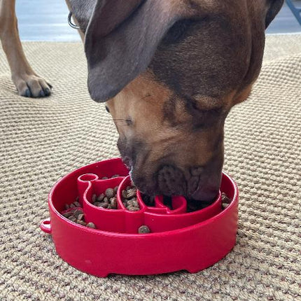 Santa Design eBowl Enrichment Slow Feeder Bowl for Dogs