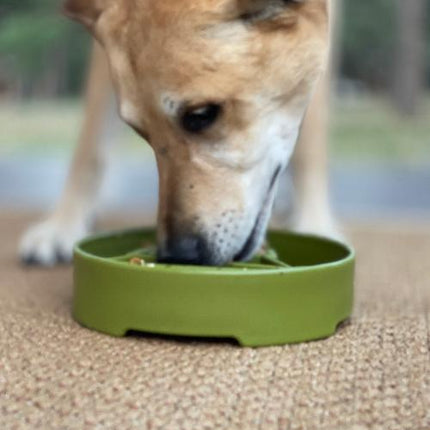 Pine Tree Design eBowl Enrichment Slow Feeder Bowl for Dogs