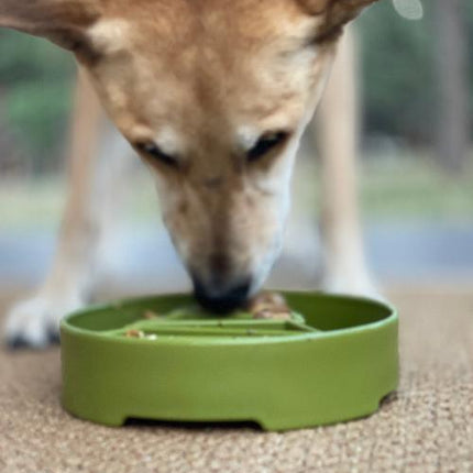 Pine Tree Design eBowl Enrichment Slow Feeder Bowl for Dogs