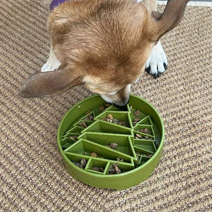Pine Tree Design eBowl Enrichment Slow Feeder Bowl for Dogs