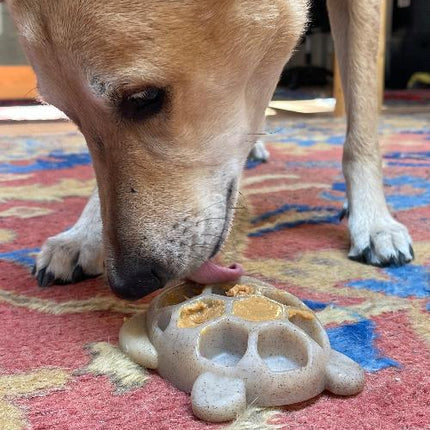 Turtle eChew Durable Nylon Chew and Enrichment Toy