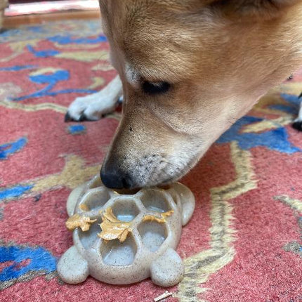 Turtle eChew Durable Nylon Chew and Enrichment Toy
