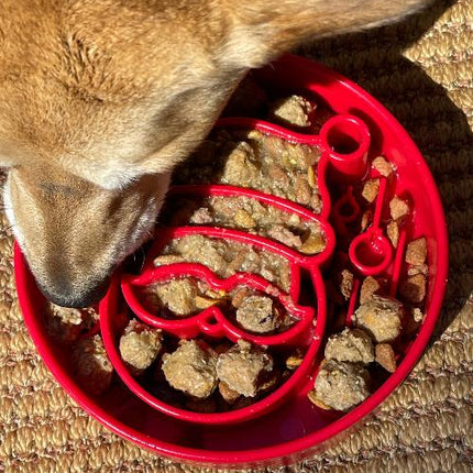 Santa Design eBowl Enrichment Slow Feeder Bowl for Dogs