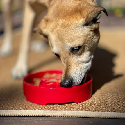 Santa Design eBowl Enrichment Slow Feeder Bowl for Dogs
