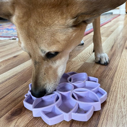 Mandala Softie eTray Enrichment Shallow Slow Feeder Dog Bowl with Suction Cups
