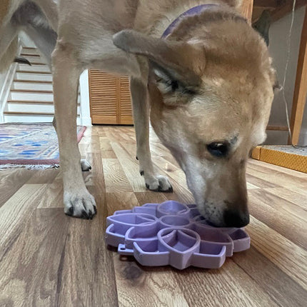 Mandala Softie eTray Enrichment Shallow Slow Feeder Dog Bowl with Suction Cups