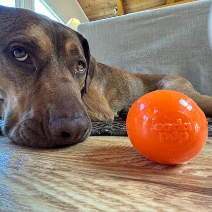 Squeak Ball Ultra Durable PUP-X Squeaking, Chewing, Floating & Retrieving Ball