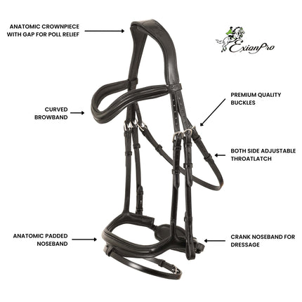 ExionPro 'Ursa' Anatomic Dressage Bridle With Reins