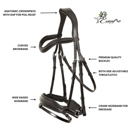 ExionPro 'Leo' Classic Dressage Bridle with Reins