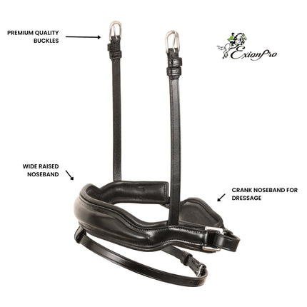 Replacement Noseband of ExionPro 'Leo' Classic Dressage Bridle
