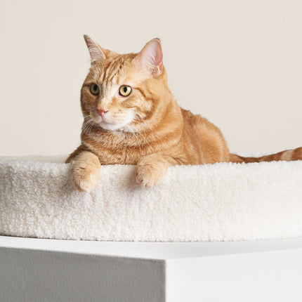 Kip Cat Cushion