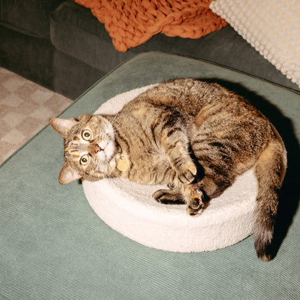 Kip Cat Cushion