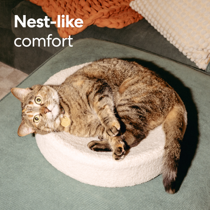 Kip Cat Cushion
