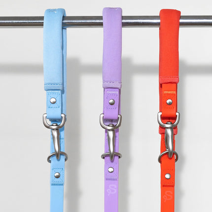 Dog Leash
