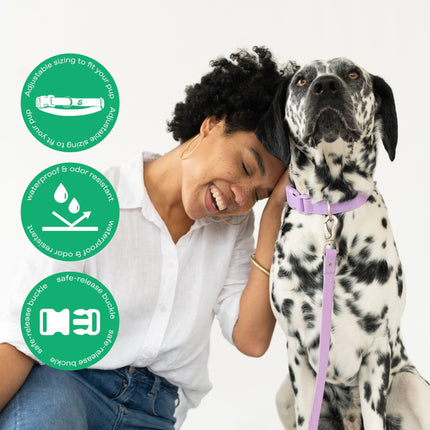 Extra Large Dog Collar