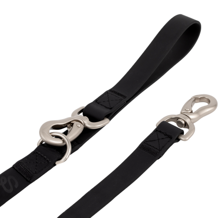 City Dog Leash