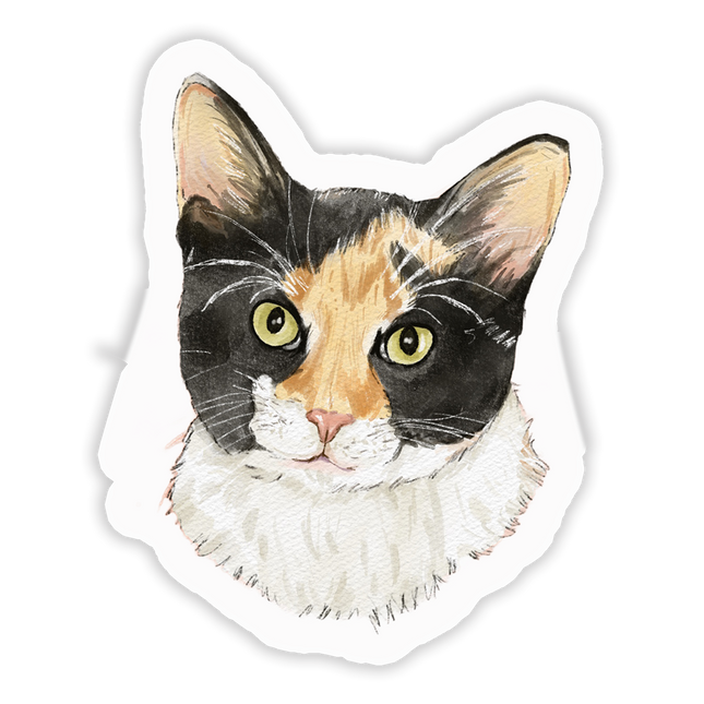 Mooney Sticker