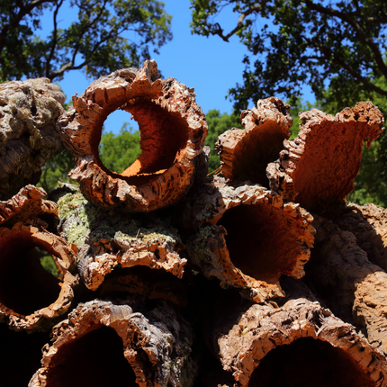 Cork Bark Rounds (Sellers Choice)