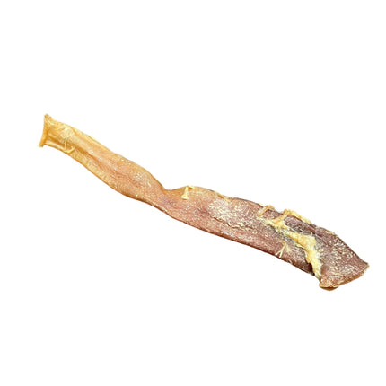 Dehydrated Beef Aorta