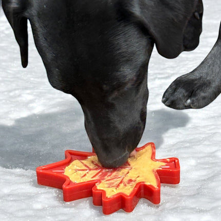 Canadian Maple Leaf eChew Durable Nylon Dog Chew Toy