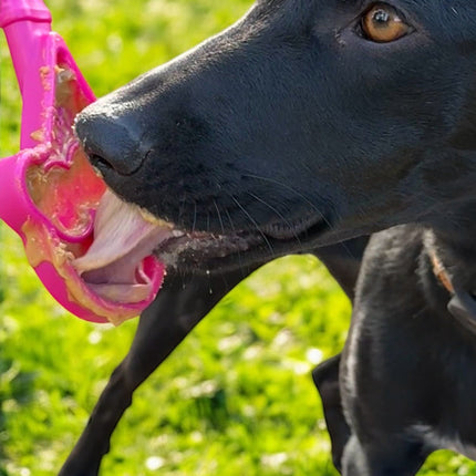 Lick Stick Hand-Held Interactive Enrichment Toys