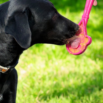 Lick Stick Hand-Held Interactive Enrichment Toys