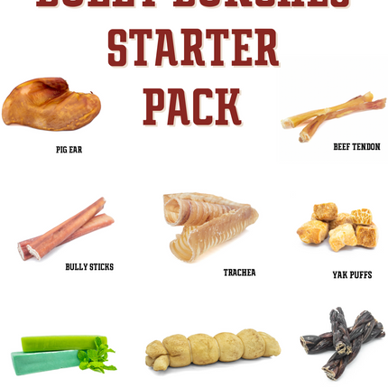 Starter Pack